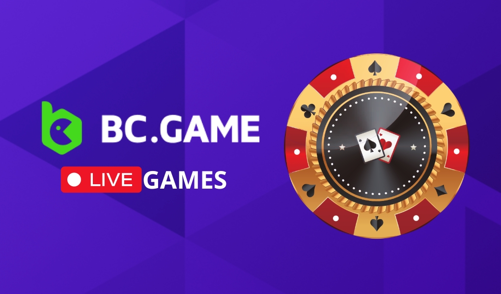 Exploring the Exciting World of BC.Game 11
