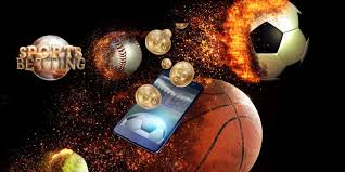 How to Bet on Cricket Online 13 How to Bet on Cricket Online 13