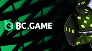 Maximize Your Wins with BC Game Use Bonus 30