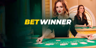 كل ما تحتاج لمعرفته عن betwinner في مصر كل ما تحتاج لمعرفته عن betwinner في مصر